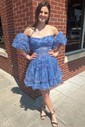 Corset Skater Tulle Ruffle Straight Homecoming Dresses