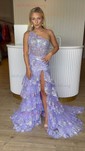 Ball Gown/Princess One Shoulder Tulle Sweep Train Prom Dresses With Appliques Lace