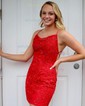 Modest Sky Blue Bodycon Lace Appliques Homecoming Dresses