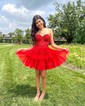 Corset Skater Glitter Tiered Homecoming Dresses