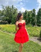 Corset Skater Glitter Tiered Homecoming Dresses