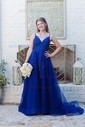 Ball Gown V-neck Tulle Prom Dresses With Appliques