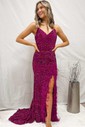 Sheath/Column V-neck Sparkly Sequin Prom Dresses With Feather