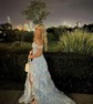 Ball Gown Off-the-shoulder Tulle Tiered Prom Dresses With Appliques