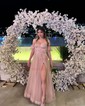 Ball Gown Strapless Tulle Prom Dresses With Appliques