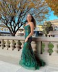 Mermaid Scoop Neck Tulle Prom Dresses With Appliques
