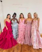 Ball Gown V-neck Floral Tulle Ruffle Tiered Prom Dresses