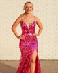 Sheath/Column V-neck Sparkly Sequin Prom Dresses