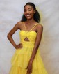 Ball Gown Halter Tulle Ruffle Tiered Prom Dresses