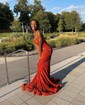 Mermaid V-neck Sparkly Velvet Sequin Prom Dresses