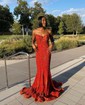Mermaid V-neck Sparkly Velvet Sequin Prom Dresses