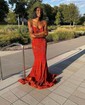 Mermaid V-neck Sparkly Velvet Sequin Prom Dresses