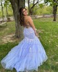 Mermaid V-neck Tulle Prom Dresses With Appliques