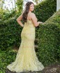 Mermaid V-neck Tulle Prom Dresses With Appliques