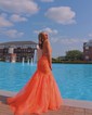 Mermaid V-neck Tulle Prom Dresses With Appliques