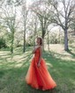 Ball Gown V-neck Tulle Prom Dresses With Appliques