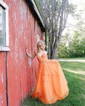 Ball Gown V-neck Tulle Prom Dresses With Appliques