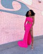Sheath/Column One Shoulder Velvet Sequin Cut Out Prom Dresses