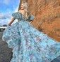 Ball Gown Off-the-shoulder Tulle Floral Prom Dresses With Puff Sleeve