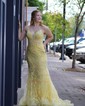 Mermaid V-neck Tulle Prom Dresses With Appliques