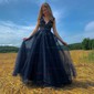 Ball Gown V-neck Tulle Prom Dresses With Appliques