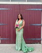Mermaid V-neck Backless Sparkly Sequin Prom Dresses