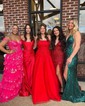 Ball Gown Scoop Neck Tulle Prom Dresses With Appliques
