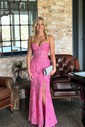 Mermaid Strapless Lace Tulle Prom Dresses With Appliques