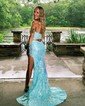 Sheath/Column V-neck Sparkly Sequin Prom Dresses With Appliques