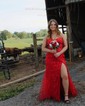 Sheath/Column Strapless Tulle Corset Prom Dresses With Appliques