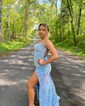 Sheath/Column Scoop Neck Sparkly Velvet Sequin Prom Dresses